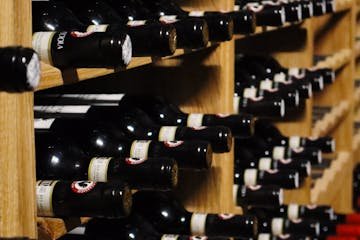 Vendimia 2026: La Vitivinicultura Impulsa el Empleo en Mendoza y San Juan