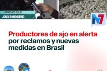 El precio de la pelea: cómo la guerra Milei-Lula le costó el mercado del ajo a Mendoza