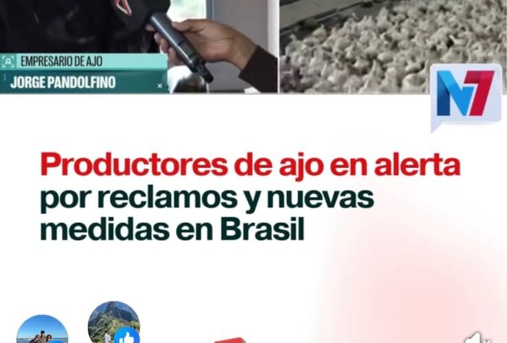 El precio de la pelea: cómo la guerra Milei-Lula le costó el mercado del ajo a Mendoza