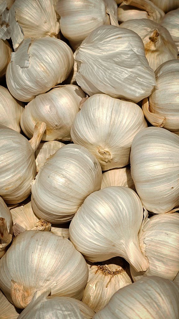A close-up of fresh garlic bulbs, ideal for cooking and culinary art.