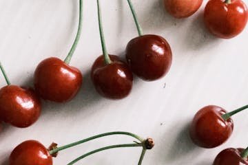 Una finca mendocina de cerezas logró ser certificada “libre de Mosca del Mediterráneo” dentro de una zona con presencia de la plaga