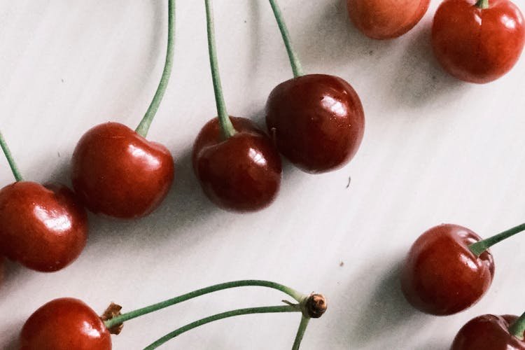 Una finca mendocina de cerezas logró ser certificada “libre de Mosca del Mediterráneo” dentro de una zona con presencia de la plaga