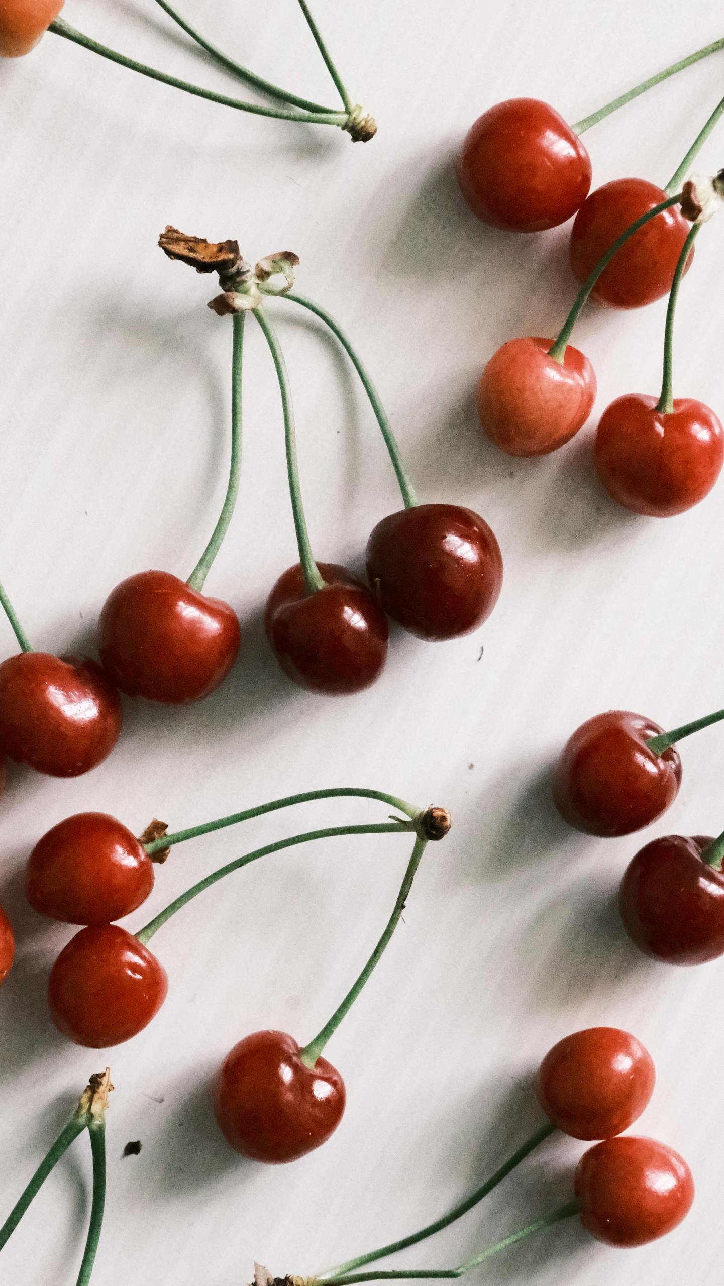 Una finca mendocina de cerezas logró ser certificada “libre de Mosca del Mediterráneo” dentro de una zona con presencia de la plaga