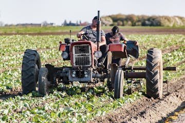 En el Día del Trabajador: el campo mendocino entre la emergencia climática, la crisis económica y la resistencia