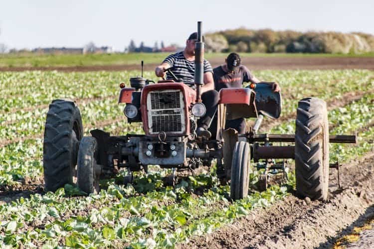 En el Día del Trabajador: el campo mendocino entre la emergencia climática, la crisis económica y la resistencia