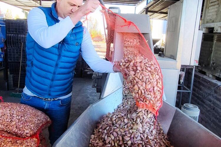 LA INVENCION DEL AJO