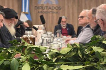 Crisis yerbatera: colonos reclaman en Diputados por la caída de precios