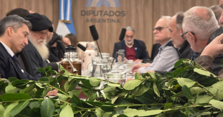 Crisis yerbatera: colonos reclaman en Diputados por la caída de precios