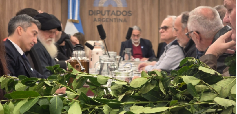 Crisis yerbatera: colonos reclaman en Diputados por la caída de precios