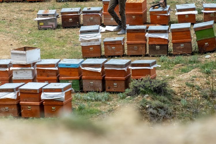 Crisis en la exportación de miel: el gobierno corre de atrás ante regulación europea que conocía desde 2024