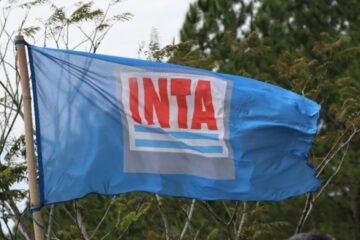 ¿Un freno a la venta de tierras del INTA? Buenos Aires reclama los predios que Nación pretende liquidar