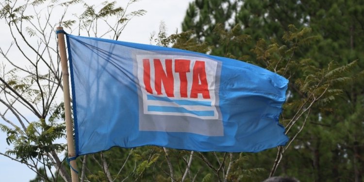 ¿Un freno a la venta de tierras del INTA? Buenos Aires reclama los predios que Nación pretende liquidar