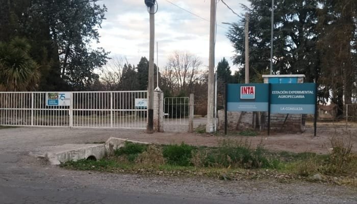El I.N.T.A La Consulta uno de los que se busca cerrar en Mendoza
