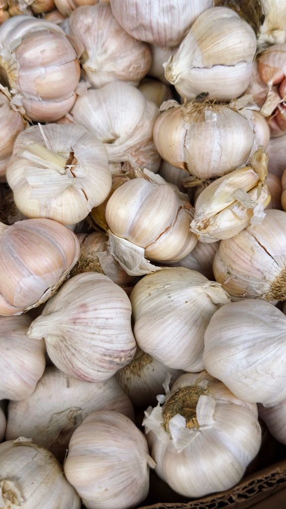 Close-up of fresh garlic bulbs stacked together, ideal for culinary and health-related content.