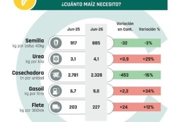 Maíz que no alcanza: se agravó la relación insumo-producto de cara a la nueva campaña