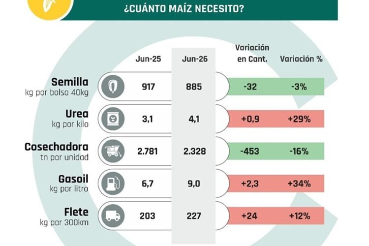 Maíz que no alcanza: se agravó la relación insumo-producto de cara a la nueva campaña