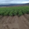 Campo Aconquija Pucara