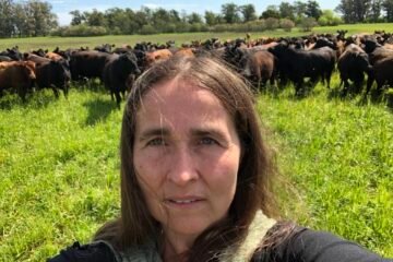 Persecución en el INTA de Milei: una investigadora que midió agroquímicos podría ser exonerada por hacer su trabajo