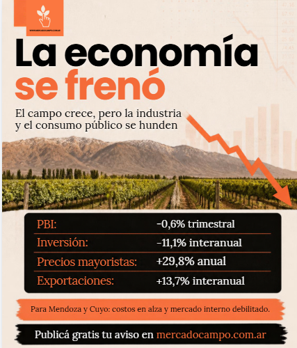 Se cayó la economía en el segundo trimestre: el campo crece, la industria y el consumo público se hunden