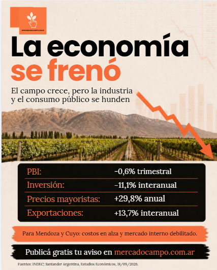 Se cayó la economía en el segundo trimestre: el campo crece, la industria y el consumo público se hunden