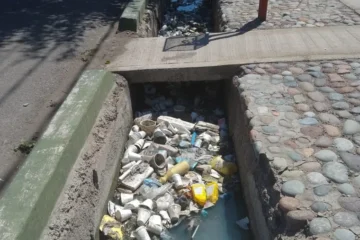 Basura en las acequias y perros sueltos: cuando el problema también es de la gente, no solo del Estado, Ulpiano Suarez impulsa una ley más dura contra quienes ensucian los cauces de agua