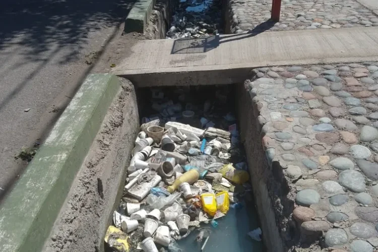 Basura en las acequias y perros sueltos: cuando el problema también es de la gente, no solo del Estado, Ulpiano Suarez impulsa una ley más dura contra quienes ensucian los cauces de agua